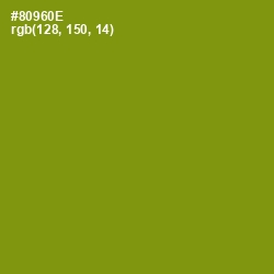 #80960E - Olive Color Image