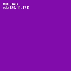 #810BAB - Violet Eggplant Color Image