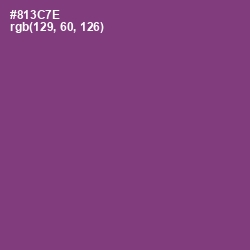 #813C7E - Plum Color Image