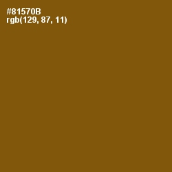 #81570B - Rusty Nail Color Image
