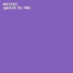 #815FBC - Wisteria Color Image