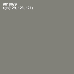 #818079 - Bandicoot Color Image