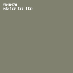 #818170 - Bandicoot Color Image