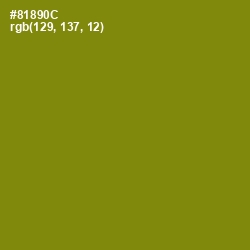 #81890C - Olive Color Image