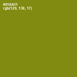 #818A11 - Olive Color Image