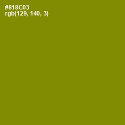 #818C03 - Olive Color Image