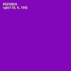 #8206BA - Violet Eggplant Color Image