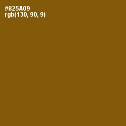 #825A09 - Rusty Nail Color Image