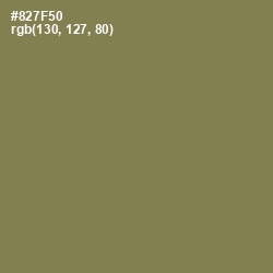 #827F50 - Shadow Color Image