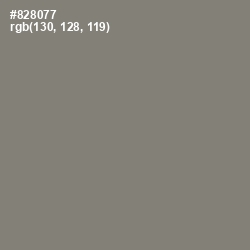 #828077 - Bandicoot Color Image
