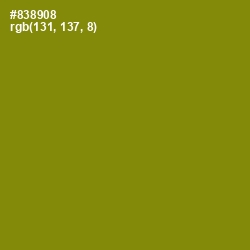 #838908 - Olive Color Image