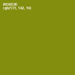 #838E0E - Olive Color Image