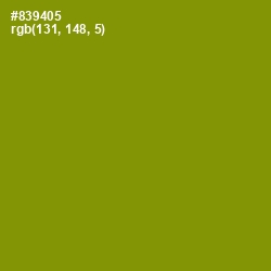 #839405 - Olive Color Image