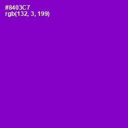 #8403C7 - Electric Violet Color Image