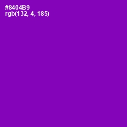 #8404B9 - Violet Eggplant Color Image