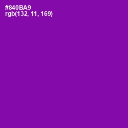 #840BA9 - Violet Eggplant Color Image