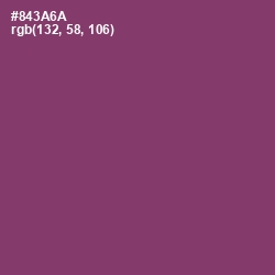 #843A6A - Plum Color Image