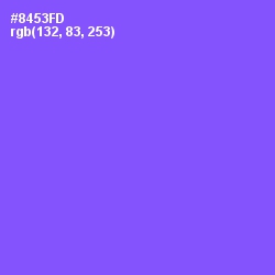 #8453FD - Medium Purple Color Image