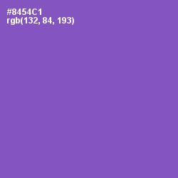 #8454C1 - Amethyst Color Image