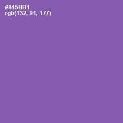 #845BB1 - Wisteria Color Image