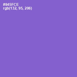 #845FCE - Amethyst Color Image