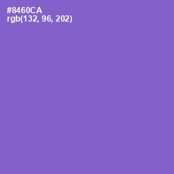 #8460CA - Amethyst Color Image