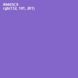 #8465C9 - True V Color Image