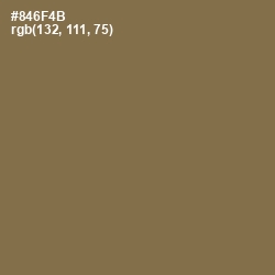 #846F4B - Shadow Color Image