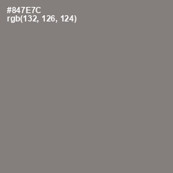 #847E7C - Hurricane Color Image