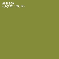 #848B39 - Sycamore Color Image