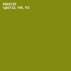#848C0F - Olive Color Image