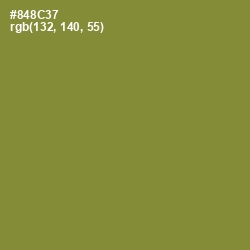 #848C37 - Sycamore Color Image