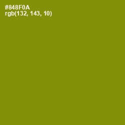 #848F0A - Olive Color Image