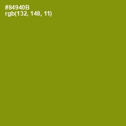 #84940B - Olive Color Image