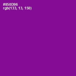 #850D96 - Violet Eggplant Color Image