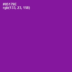 #85179E - Violet Eggplant Color Image