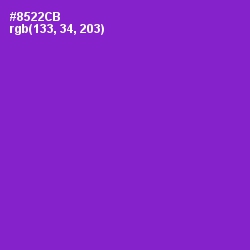 #8522CB - Electric Violet Color Image