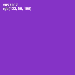 #8532C7 - Electric Violet Color Image