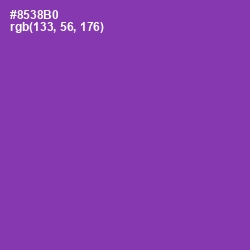 #8538B0 - Vivid Violet Color Image