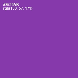 #8539AB - Vivid Violet Color Image