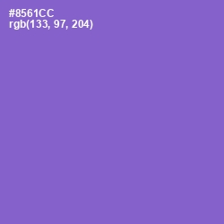 #8561CC - Amethyst Color Image