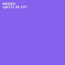 #8562ED - Medium Purple Color Image