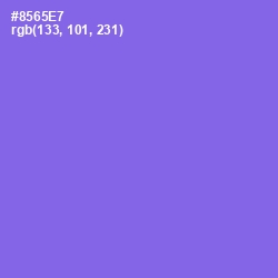 #8565E7 - Medium Purple Color Image