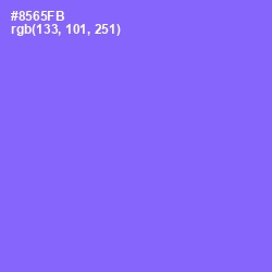 #8565FB - Medium Purple Color Image