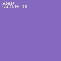#8568BF - Wisteria Color Image