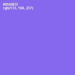 #8568ED - Medium Purple Color Image