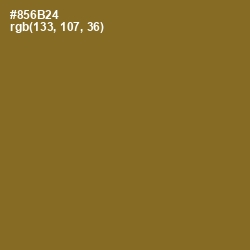 #856B24 - Kumera Color Image