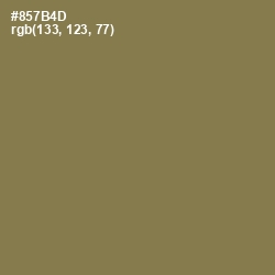 #857B4D - Shadow Color Image