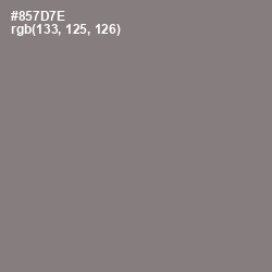#857D7E - Hurricane Color Image