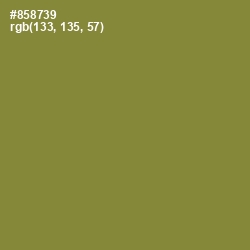 #858739 - Sycamore Color Image